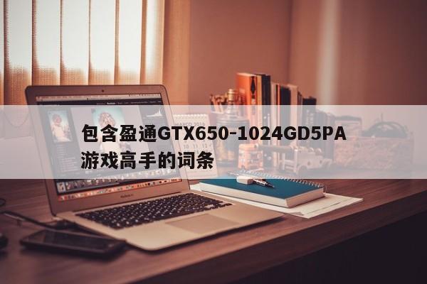 包含盈通GTX650-1024GD5PA游戏高手的词条