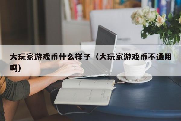 大玩家游戏币什么样子（大玩家游戏币不通用吗）