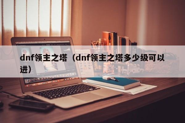 dnf领主之塔（dnf领主之塔多少级可以进）