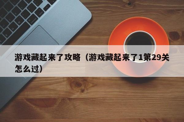 游戏藏起来了攻略（游戏藏起来了1第29关怎么过）