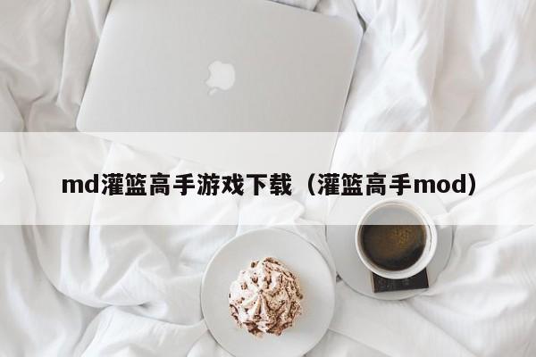 md灌篮高手游戏下载（灌篮高手mod）