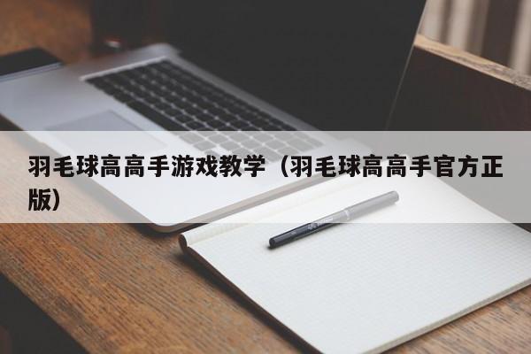 羽毛球高高手游戏教学（羽毛球高高手官方正版）